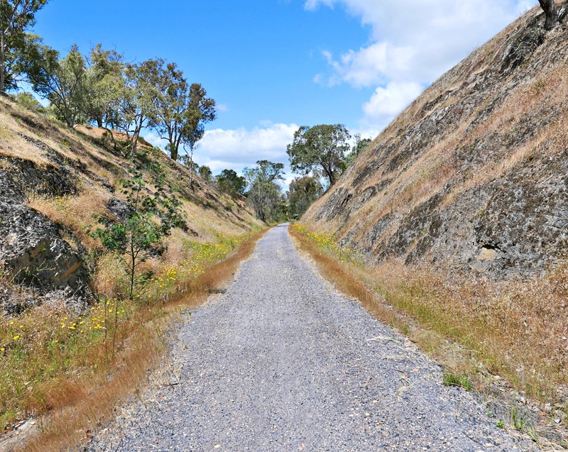 Gravel rail trail heading into Cheviot Tunnel